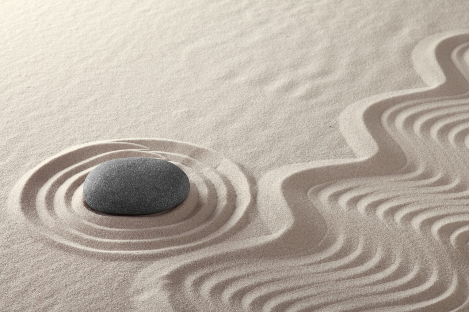 Guided Meditation